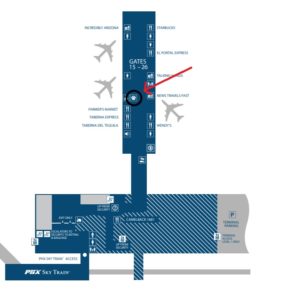 PHX Terminal 3 L4