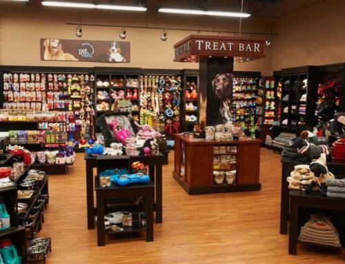 Guide to Pet Stores: Where and How to Spend Your Money on Pet Travel Supplies